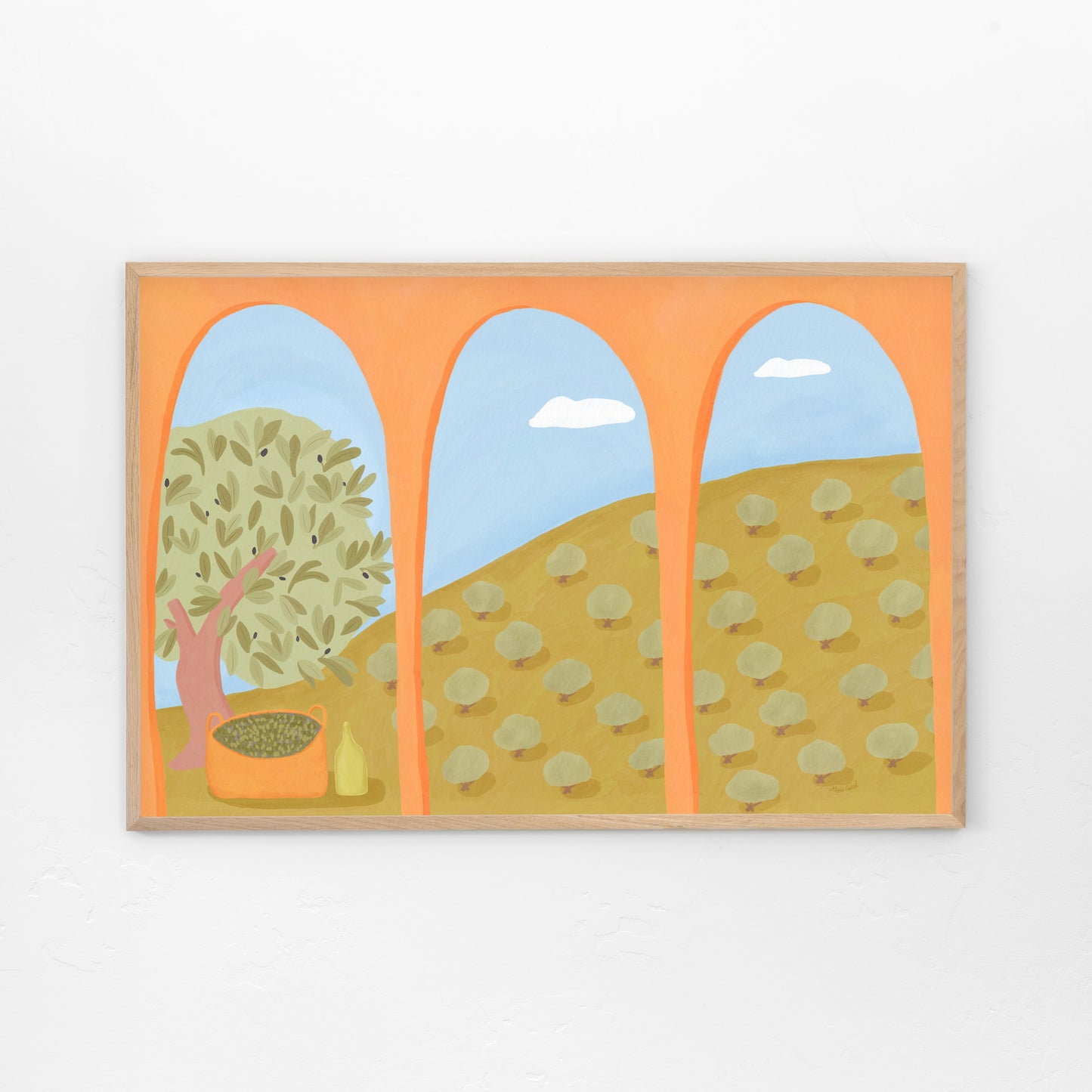 Olive Grove